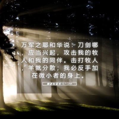 Picture 05 - 撒 迦 利 亚 书 13:7 CUVS - 万 军 之 耶 和 华 说 ： 刀 剑 哪 ， - Bible Verse Picture