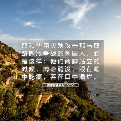 Picture 05 - 撒 迦 利 亚 书 14:12 CUVS - 耶 和 华 用 灾 殃 攻 击 那 与 耶 路 - Bible Verse Picture