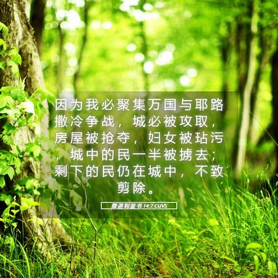Picture 05 - 撒 迦 利 亚 书 14:2 CUVS - 因 为 我 必 聚 集 万 国 与 耶 路 撒 - Bible Verse Picture