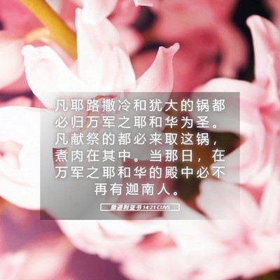 Picture 05 - 撒 迦 利 亚 书 14:21 CUVS - 凡 耶 路 撒 冷 和 犹 大 的 锅 都 必 - Bible Verse Picture