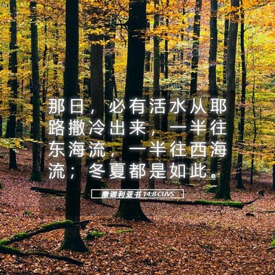 Picture 05 - 撒 迦 利 亚 书 14:8 CUVS - 那 日 ， 必 有 活 水 从 耶 路 撒 冷 - Bible Verse Picture
