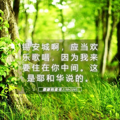 Picture 05 - 撒 迦 利 亚 书 2:10 CUVS - 锡 安 城 啊 ， 应 当 欢 乐 歌 唱 ， - Bible Verse Picture