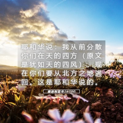 Picture 05 - 撒 迦 利 亚 书 2:6 CUVS - 耶 和 华 说 ： 我 从 前 分 散 你 们 - Bible Verse Picture