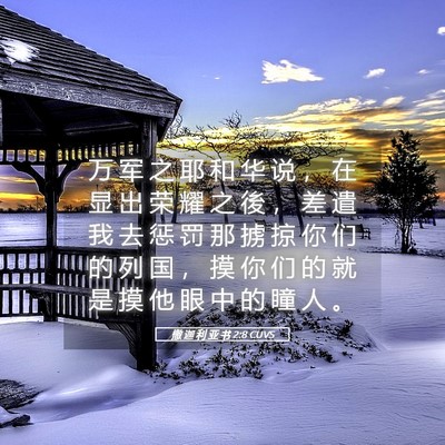 Picture 05 - 撒 迦 利 亚 书 2:8 CUVS - 万 军 之 耶 和 华 说 ， 在 显 出 荣 - Bible Verse Picture