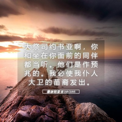 Picture 05 - 撒 迦 利 亚 书 3:8 CUVS - 大 祭 司 约 书 亚 啊 ， 你 和 坐 在 - Bible Verse Picture