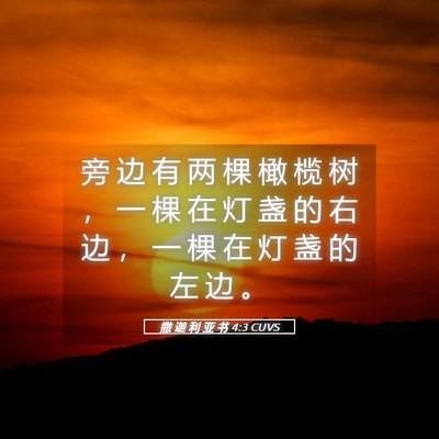 Picture 05 - 撒 迦 利 亚 书 4:3 CUVS - 旁 边 有 两 棵 橄 榄 树 ， 一 棵 在 - Bible Verse Picture