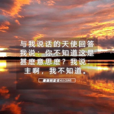 Picture 05 - 撒 迦 利 亚 书 4:5 CUVS - 与 我 说 话 的 天 使 回 答 我 说 ： - Bible Verse Picture