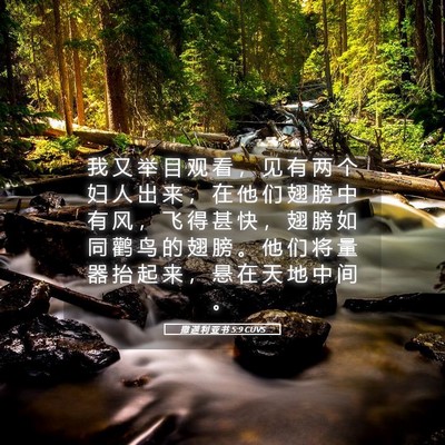 Picture 05 - 撒 迦 利 亚 书 5:9 CUVS - 我 又 举 目 观 看 ， 见 有 两 个 妇 - Bible Verse Picture
