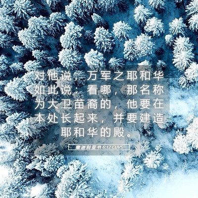 Picture 05 - 撒 迦 利 亚 书 6:12 CUVS - 对 他 说 ， 万 军 之 耶 和 华 如 此 - Bible Verse Picture