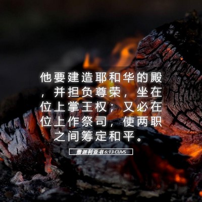 Picture 05 - 撒 迦 利 亚 书 6:13 CUVS - 他 要 建 造 耶 和 华 的 殿 ， 并 担 - Bible Verse Picture