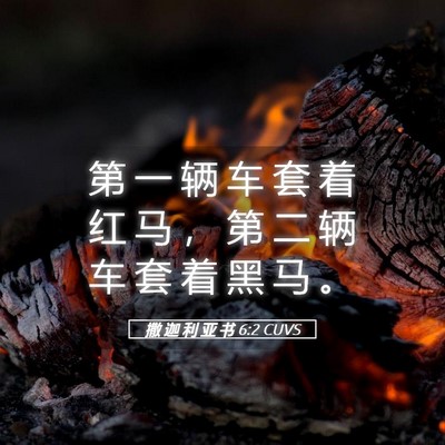 Picture 05 - 撒 迦 利 亚 书 6:2 CUVS - 第 一 辆 车 套 着 红 马 ， 第 二 辆 - Bible Verse Picture