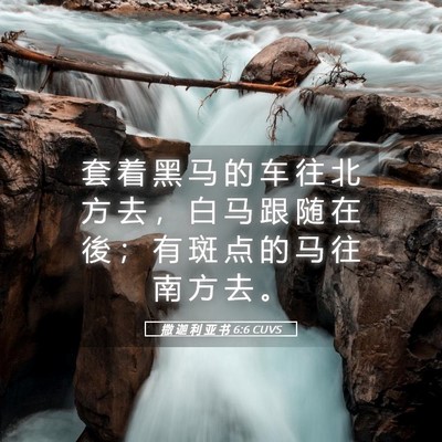 Picture 05 - 撒 迦 利 亚 书 6:6 CUVS - 套 着 黑 马 的 车 往 北 方 去 ， 白 - Bible Verse Picture