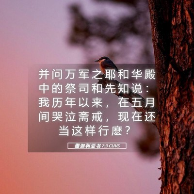 Picture 05 - 撒 迦 利 亚 书 7:3 CUVS - 并 问 万 军 之 耶 和 华 殿 中 的 祭 - Bible Verse Picture