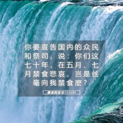 Picture 05 - 撒 迦 利 亚 书 7:5 CUVS - 你 要 宣 告 国 内 的 众 民 和 祭 司 - Bible Verse Picture