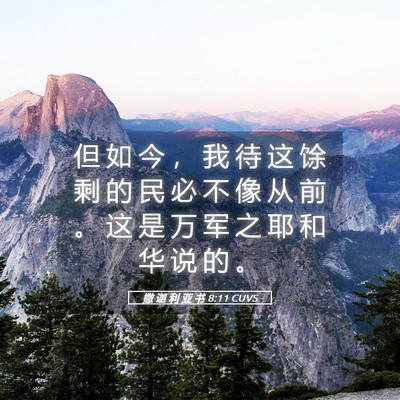 Picture 05 - 撒 迦 利 亚 书 8:11 CUVS - 但 如 今 ， 我 待 这 馀 剩 的 民 必 - Bible Verse Picture