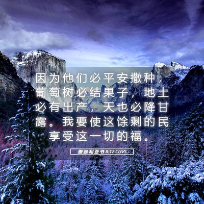 Picture 05 - 撒 迦 利 亚 书 8:12 CUVS - 因 为 他 们 必 平 安 撒 种 ， 葡 萄 - Bible Verse Picture