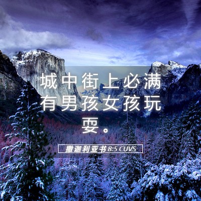 Picture 05 - 撒 迦 利 亚 书 8:5 CUVS - 城 中 街 上 必 满 有 男 孩 女 孩 玩 - Bible Verse Picture