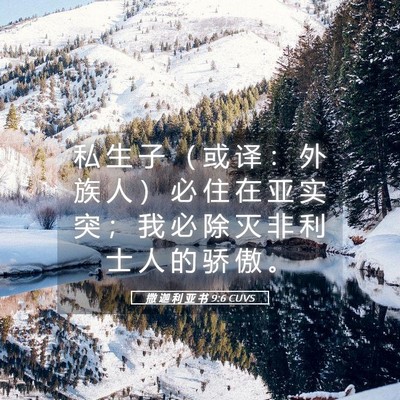 Picture 05 - 撒 迦 利 亚 书 9:6 CUVS - 私 生 子 （ 或 译 ： 外 族 人 ） 必 - Bible Verse Picture