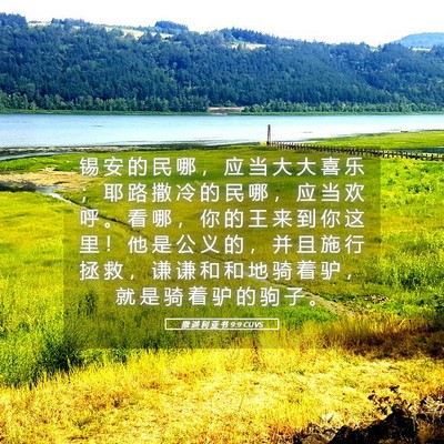 Picture 05 - 撒 迦 利 亚 书 9:9 CUVS - 锡 安 的 民 哪 ， 应 当 大 大 喜 乐 - Bible Verse Picture