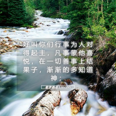 Picture 05 - 歌 罗 西 书 1:10 CUVS - 好 叫 你 们 行 事 为 人 对 得 起 主 - Bible Verse Picture