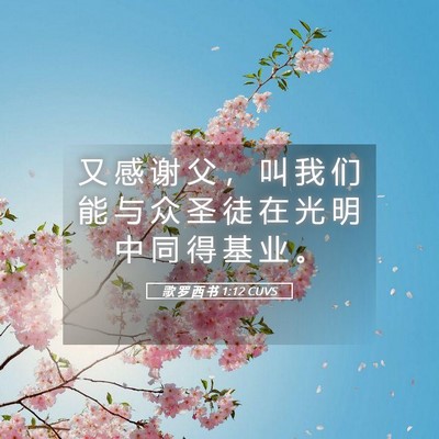 Picture 05 - 歌 罗 西 书 1:12 CUVS - 又 感 谢 父 ， 叫 我 们 能 与 众 圣 - Bible Verse Picture