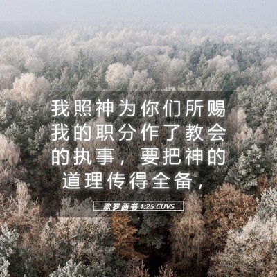 Picture 05 - 歌 罗 西 书 1:25 CUVS - 我 照 神 为 你 们 所 赐 我 的 职 分 - Bible Verse Picture