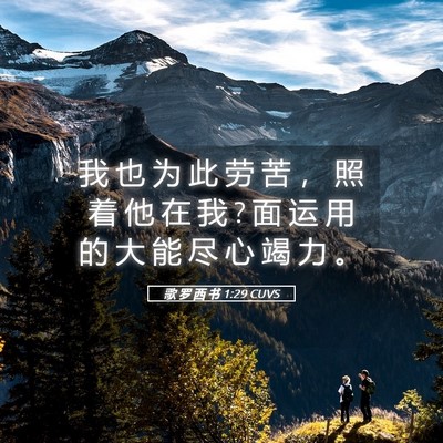 Picture 05 - 歌 罗 西 书 1:29 CUVS - 我 也 为 此 劳 苦 ， 照 着 他 在 我 ? - Bible Verse Picture