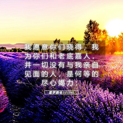 Picture 05 - 歌 罗 西 书 2:1 CUVS - 我 愿 意 你 们 晓 得 ， 我 为 你 们 - Bible Verse Picture