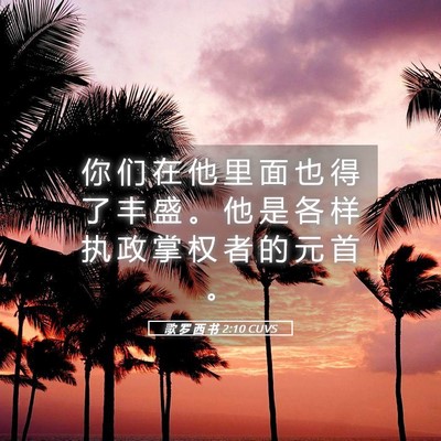 Picture 05 - 歌 罗 西 书 2:10 CUVS - 你 们 在 他 里 面 也 得 了 丰 盛 。 - Bible Verse Picture
