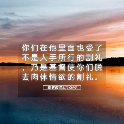 Picture 05 - 歌 罗 西 书 2:11 CUVS - 你 们 在 他 里 面 也 受 了 不 是 人 - Bible Verse Picture