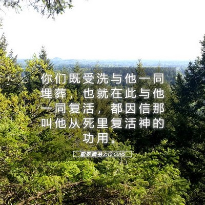Picture 05 - 歌 罗 西 书 2:12 CUVS - 你 们 既 受 洗 与 他 一 同 埋 葬 ， - Bible Verse Picture