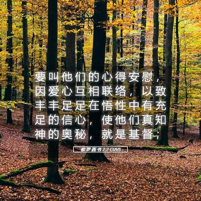 Picture 05 - 歌 罗 西 书 2:2 CUVS - 要 叫 他 们 的 心 得 安 慰 ， 因 爱 - Bible Verse Picture