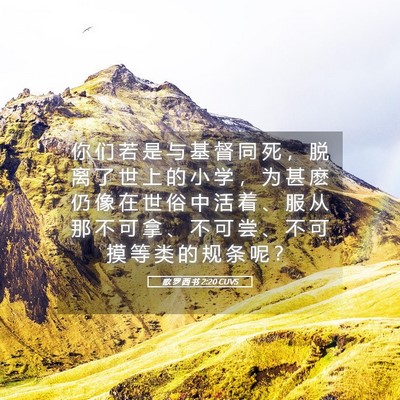 Picture 05 - 歌 罗 西 书 2:20 CUVS - 你 们 若 是 与 基 督 同 死 ， 脱 离 - Bible Verse Picture