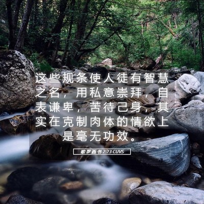 Picture 05 - 歌 罗 西 书 2:23 CUVS - 这 些 规 条 使 人 徒 有 智 慧 之 名 - Bible Verse Picture