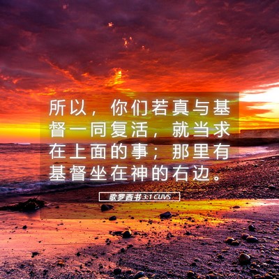 Picture 05 - 歌 罗 西 书 3:1 CUVS - 所 以 ， 你 们 若 真 与 基 督 一 同 - Bible Verse Picture