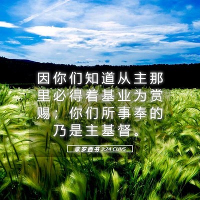 Picture 05 - 歌 罗 西 书 3:24 CUVS - 因 你 们 知 道 从 主 那 里 必 得 着 - Bible Verse Picture