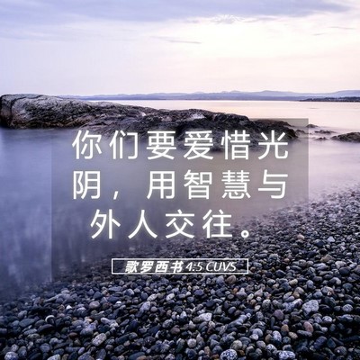 Picture 05 - 歌 罗 西 书 4:5 CUVS - 你 们 要 爱 惜 光 阴 ， 用 智 慧 与 - Bible Verse Picture