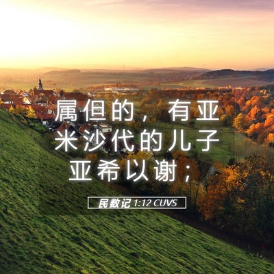 Picture 05 - 民 数 记 1:12 CUVS - 属 但 的 ， 有 亚 米 沙 代 的 儿 子 - Bible Verse Picture