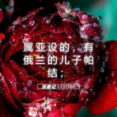 Picture 05 - 民 数 记 1:13 CUVS - 属 亚 设 的 ， 有 俄 兰 的 儿 子 帕 - Bible Verse Picture