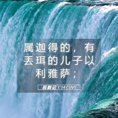 Picture 05 - 民 数 记 1:14 CUVS - 属 迦 得 的 ， 有 丢 珥 的 儿 子 以 - Bible Verse Picture