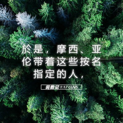 Picture 05 - 民 数 记 1:17 CUVS - 於 是 ， 摩 西 、 亚 伦 带 着 这 些 - Bible Verse Picture