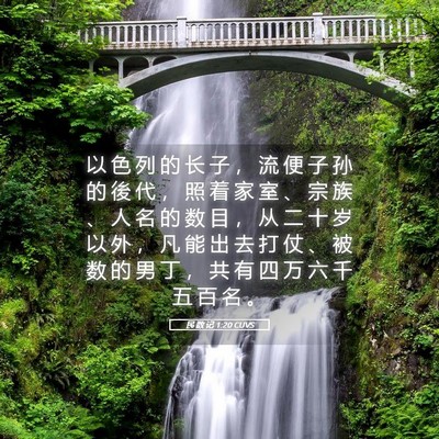 Picture 05 - 民 数 记 1:20 CUVS - 以 色 列 的 长 子 ， 流 便 子 孙 的 - Bible Verse Picture