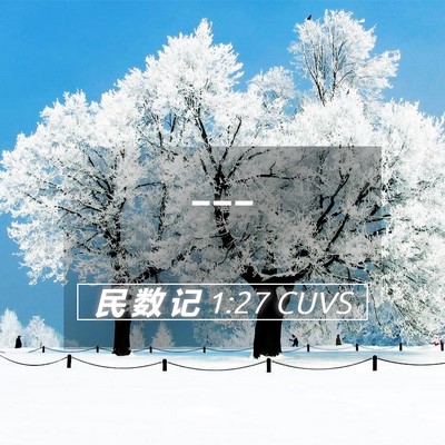 Picture 05 - 民 数 记 1:27 CUVS -  - Bible Verse Picture