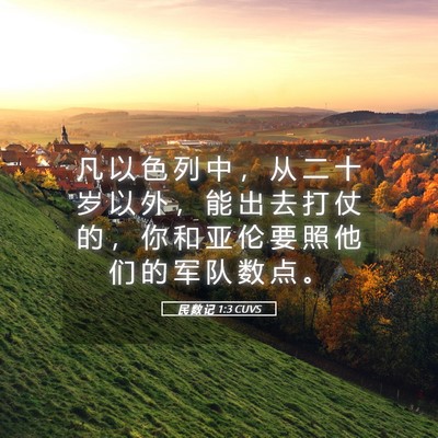 Picture 05 - 民 数 记 1:3 CUVS - 凡 以 色 列 中 ， 从 二 十 岁 以 外 - Bible Verse Picture