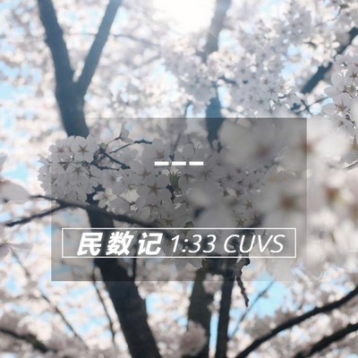 Picture 05 - 民 数 记 1:33 CUVS -  - Bible Verse Picture