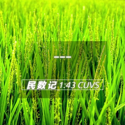 Picture 05 - 民 数 记 1:43 CUVS -  - Bible Verse Picture