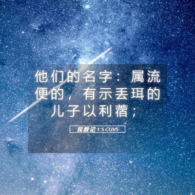 Picture 05 - 民 数 记 1:5 CUVS - 他 们 的 名 字 ： 属 流 便 的 ， 有 - Bible Verse Picture