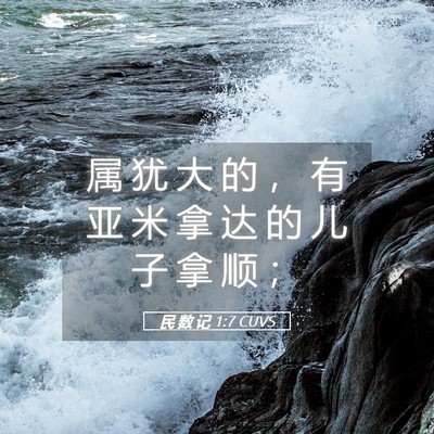 Picture 05 - 民 数 记 1:7 CUVS - 属 犹 大 的 ， 有 亚 米 拿 达 的 儿 - Bible Verse Picture