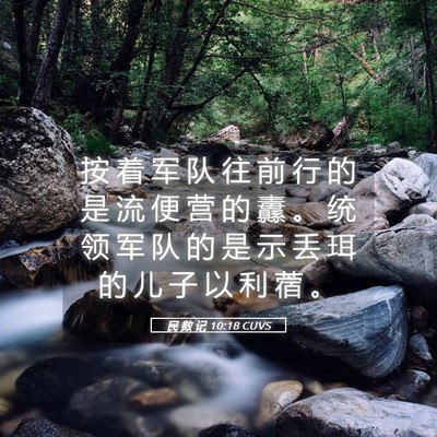 Picture 05 - 民 数 记 10:18 CUVS - 按 着 军 队 往 前 行 的 是 流 便 营 - Bible Verse Picture