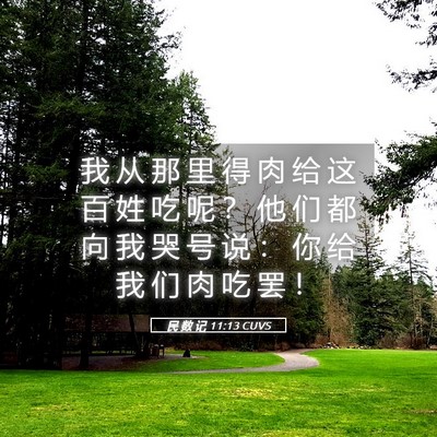 Picture 05 - 民 数 记 11:13 CUVS - 我 从 那 里 得 肉 给 这 百 姓 吃 呢 - Bible Verse Picture